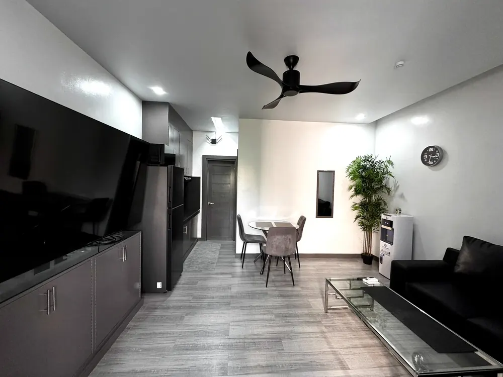 One-bedroom apartment — living room and TV wall